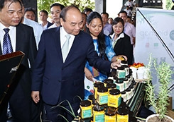 Phát triển Kon Tum trở thành vùng chế biến dược liệu của quốc gia